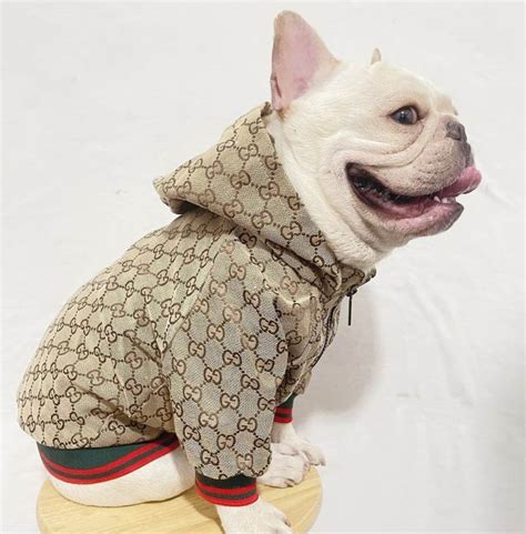 gucci for dogs|Gucci clothes for dogs.